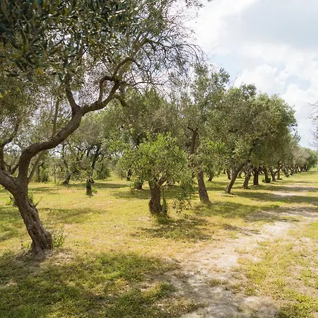 Tenuta Concamarau *